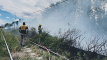 Imagen de El viento provocó un fuerte incendio a metros de los puentes Cipolletti-Neuquén: fue controlado por bomberos