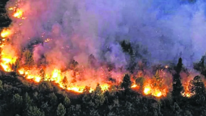 Incendios forestales en Neuquén este lunes: tras las tormentas, cómo es la situación en la provincia