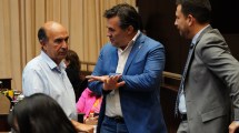 Imagen de Es ley Ficha Limpia en Neuquén: se aprobó el proyecto del gobierno sin el kirchnerismo ni la izquierda