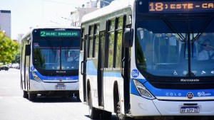 Cómo serán los horarios de los colectivos y cuando se cobrará estacionamiento