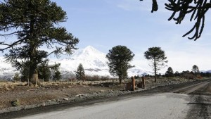 Estado de las rutas en Neuquén este lunes 2 de diciembre