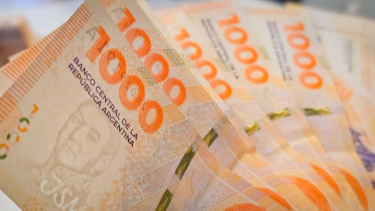 Salario Mínimo, Vital y Móvil. 