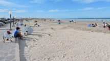 Imagen de Clima en Neuquén y Río Negro: cómo estará el tiempo este martes 10 de diciembre 2024
