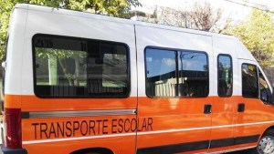 El CPE habló sobre el nene encerrado en un transporte escolar de Plottier: qué pasa con la empresa