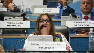 La legisladora Yauhar es la encargada de la presentación del proyecto oficial. Foto: Marcelo Ochoa.