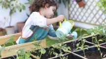 Imagen de Verano 2025 en Neuquén: nuevas actividades recreativas para toda la familia en vacaciones