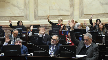 Foto: Senado de la Nación