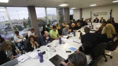 No hubo objeciones al proyecto de Ficha Limpia, pero las bancadas peronistas no hablaron. Foto: Pablo Leguizamón.
