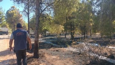 Un incendio afectó Parque Norte de Neuquén. Foto: Gentileza. 