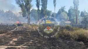 Controlaron un nuevo incendio de pastizales cerca de la costa del río en Neuquén
