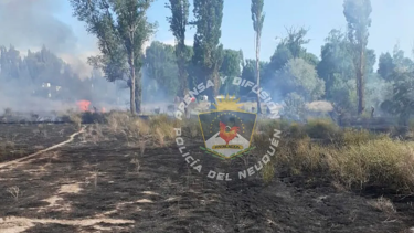 Controlaron un nuevo incendio de pastizales cerca de la costa del río en Neuquén