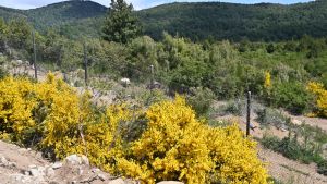 El municipio de Bariloche ya tiene sus primeros 300 lotes sociales, obtenidos por canje