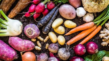 Un ingrediente versátil y nutritivo se destaca por su alto contenido en potasio, superando a otros alimentos populares.