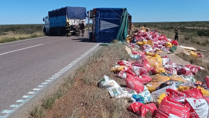Llevaba alimento para perros, volcó en la Ruta 251 y para no tirarlo, donó todo a refugios de Río Colorado