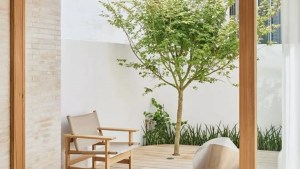 Lo que tenés que saber para aprovechar al máximo el patio de tu casa y hacerlo funcional