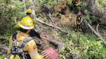 Imagen de Mapa | Qué zonas afecta el incendio del Cajón del Azul, en El Bolsón