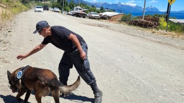 Los perros se sumaron a la búsqueda de Efraín, sin resultados positivos. Foto: gentileza
