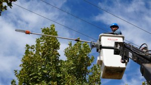 Corte de luz en Plottier, este viernes: horarios y zonas afectadas