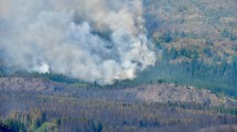 Imagen de Incendios en Chubut: la lluvia dio respiro al combate de fuego, pero siguen activos
