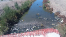Imagen de Declaran la emergencia ambiental en Centenario por el colapso del sistema cloacal