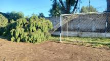 Imagen de Por el temporal, se alteró la programación del Mundialito Infantil de fútbol