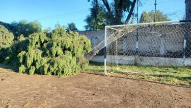 El temporal causó destrozos en el club Alto Valle, una de las subsedes del Mundialito. (Foto: Gentileza)