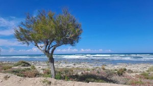 El verano se disfruta en Playas Doradas: actividades, juegos en la la playa y una gran fiesta