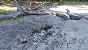 En medio de los incendios en Bariloche, encontraron fogatas en senderos del Parque Nahuel Huapi