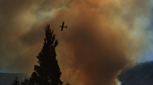 Imagen de Video | Incendio descontrolado en El Bolsón: evacuaciones y fuego cerca de una planta de gas
