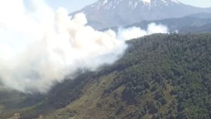 Alerta por vientos fuertes este lunes en Neuquén y Río Negro: se redoblan los esfuerzos para combatir los incendios