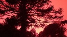 Imagen de Incendios en la Patagonia: sin riesgo para la población y animales, el fuego cambió su intensidad en Neuquén