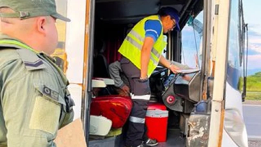 Un colectivo transportaba niños sin documentos a Salta: no figuraban en la lista de pasajeros