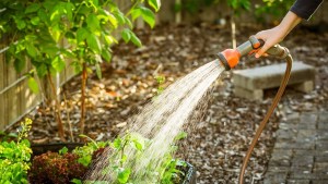 Aguas Rionegrinas: cuáles son las medidas para evitar problemas durante el verano 2025
