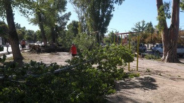Video | El adiós a un histórico tobogán de Allen que fue arrasado por la tormenta: pasó de «generación en generación»