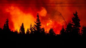 Incendio en Epuyén: 1800 hectáreas afectadas y 50 viviendas quemadas