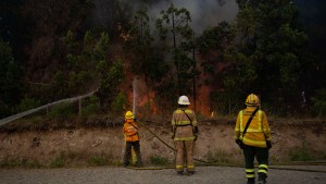 Ya más de 2700 hectáreas afectadas por el incendio en El Bolsón: el viento complica las tareas