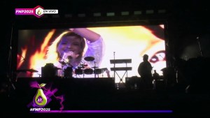 Música y homenaje: la Fiesta de la Pera movió multitudes en pleno centro de Allen