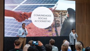 Una comunidad mapuche pionera en América Latina: se asoció para tener un parque solar