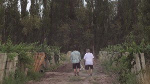 Río Negro apunta el enoturismo: una apuesta por la calidad y la tradición