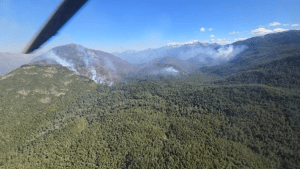 98 brigadistas combaten el incendio forestal al sur de Bariloche: habrá nuevas columnas de humo en los próximos días