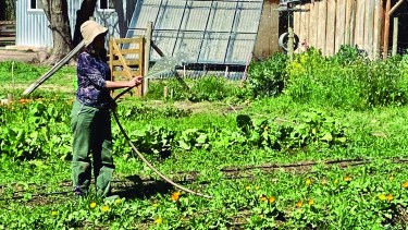 La agroecología se impulsa como un modo de producción sustentable que invita a las personas a volver a la tierra, a las chacras y a los campos.