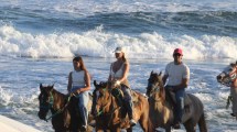 Imagen de La indignación de Nicole Neumann tras enterarse la muerte de un delfín en Mar del Tuyú 