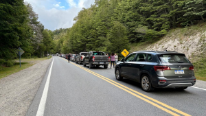 Pasos a Chile: los horarios más convenientes y las rutas en mejor estado desde Neuquén