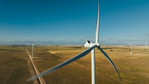 Buena leche: Mastellone usará energías renovables en sus plantas industriales