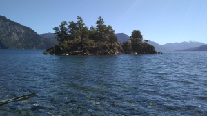 «La Islita» en San Martín de los Andes: una joyita para llegar caminando a través de un bosque de robles