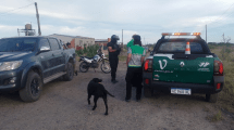 Imagen de Zigzagueaba en la Ruta 1 y lo detuvieron en Viedma: tenía 2,68 gramos de alcohol en sangre