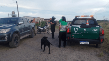 Una Toyota Hilux fue secuestrada en Viedma tras detectar a su conductor manejando con 2.68 de alcohol en sangre.
