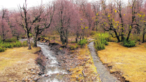 El pintoresco arroyo que viaja más de 1000 km a través de Chile, Neuquén y Río Negro uniendo dos océanos