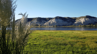 Isla 58 en Villa Regina: un refugio natural a orillas del río Negro con propuestas para toda la familia