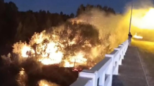 Paso Córdoba: un incendio consumió vegetación nativa y en Roca apuntan contra una «negligencia»